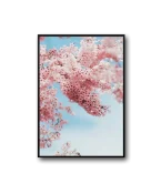 Desert Frame - Image 2